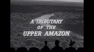 MST3k  A Tributary to the Upper Amazon [upl. by Reema157]