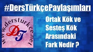 Ortak Kök ve Sesteş Kök Arasındaki Farklar Nelerdir [upl. by Etteloc]