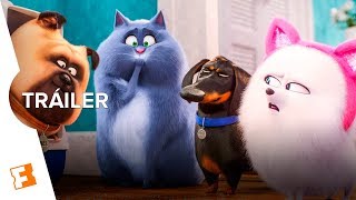 La Vida Secreta de tus Mascotas 2  Tráiler Final Español Latino [upl. by Einnej]