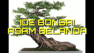 Ide Bonsai Asam Belanda [upl. by Tom]