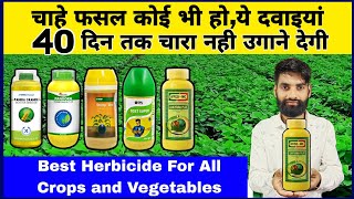 40 दिन तक फसल रहेगी खरपतवारों से मुक्त  Kharpatwar Nashak Dawai  Pendimethalin 387 cs  Herbicide [upl. by Hamilton682]