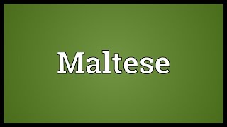 Maltese Meaning [upl. by Cherlyn]