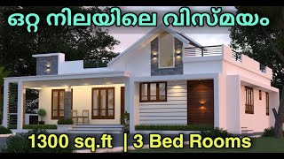 ഒറ്റ നിലയിലെ വിസ്മയം  1300 sqft 3 Bed Room Single story House plan with 3D Elevation [upl. by Werby]