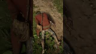 The Most Dangerous Spot on the Entire RDR2 Map shorts rdr2 reddeadredemption gaming [upl. by Fayina]