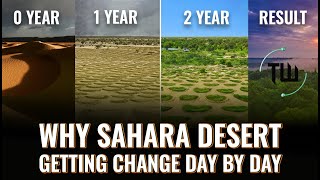 How Sahara Desert is Transforming  Trends in the World [upl. by Zoha236]