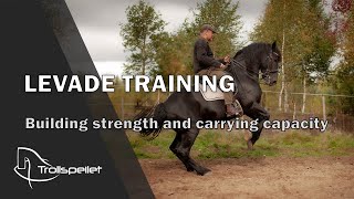 S03E14 Levade Training  Building Strength and Carrying Capacity [upl. by Silber]