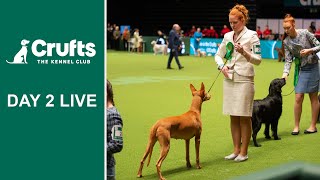 Day 2 Live  Crufts 2022 [upl. by Niamrahc]