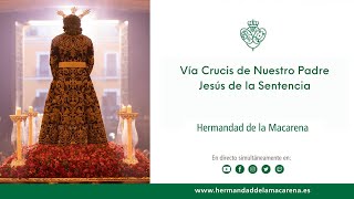 MACARENA TV  Vía Crucis de Nuestro Padre Jesús de la Sentencia  Hermandad de la Macarena [upl. by Ianej]