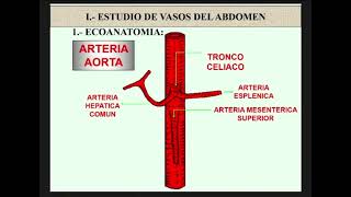 ECOGRAFÍA ABDOMINAL  ECO EN APENDICITIS [upl. by Ytirahc237]