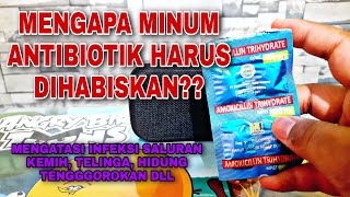 🔥Manfaat Antibiotik Amoxicillin Trihydrate Kaplet 500 Mg Untuk Mengobati Infeksi✅️ [upl. by Dorthea]