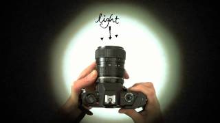 Know Your Camera  A Beginners Photography Tutorial [upl. by Nnayr]