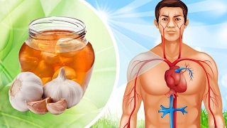 The REAL Health Benefits of Garlic and Honey [upl. by Emil]