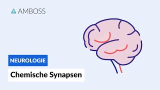 Funktionsweise chemischer Synapsen  Biochemie  AMBOSS Video [upl. by Eziechiele464]