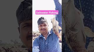 Rocks fishing 🎣grouper fish 🐟catch hand line fishingmumbai [upl. by Elmira]