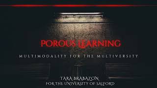 Porous Learning Audioonly presentation [upl. by Crellen838]