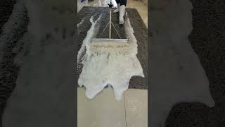 Super Rinse Squeegee Carpet Cleaning  ASMR Carpet cleaningshorts [upl. by Liuqnoj]