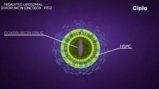 Liposomal technology [upl. by Neural]