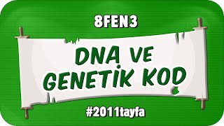 DNA ve Genetik Kod 📗 tonguçCUP 1Sezon  8FEN3 2025LGS [upl. by Attenol]