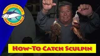 HowTo Catch Sculpin  SPORT FISHING [upl. by Wessling932]