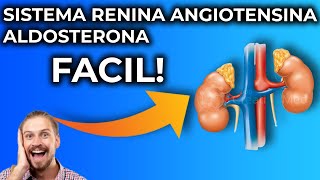 Sistema Renina Angiotensina Aldosterona Explicado Fácil y Sencillo [upl. by Yalc]