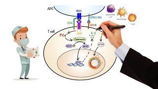 Antiinflammatory Steroids [upl. by Lilli992]