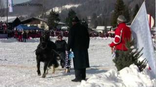 Bäuerliches Schlittenrennen Rottach Egern 2012 [upl. by Harrow]