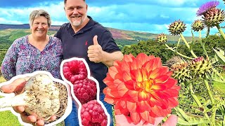 4 Acre UK Food Garden TOUR  TIPS A SelfSufficient INSPIRATION [upl. by Elfie]