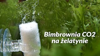 Bimbrownia na żelatynie tanie CO2 [upl. by Ariak]