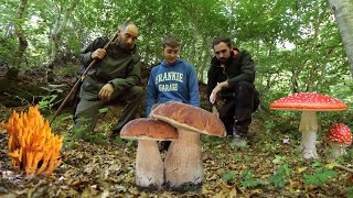 Centinaia di PORCINI i FUNGHI della faggeta [upl. by Ynttirb]