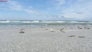 1 h Meeresrauschen Entspannung Wellenrauschen Wellen Strand Meer Ostsee HD [upl. by Lesirg891]