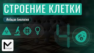 Строение клетки  ЕГЭ по биологии [upl. by Davide]