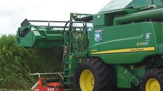 John Deere W660 HempFlax Double cut combine Vezelhennep combinen Trekkerweb hanf cannabis [upl. by Jasper319]