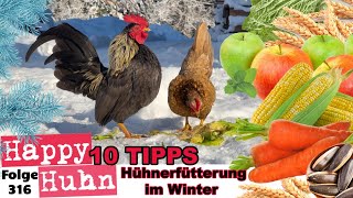 Hühnerfütterung im Winter 10 Tipps für das beste Futter um die Hühner zu verwöhnen HAPPY HUHN E316 [upl. by Wise]