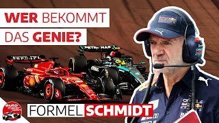 Adrian Newey wirft bei Red Bull hin  Formel Schmidt 2024 [upl. by Heathcote]