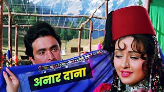 Naar Dana Anar Dana Full 4K Song  Henna 1991  Zeba Bakhtiar  Lata Mangeshkar  90s Hindi Song [upl. by Drofnelg]