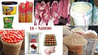 FOOD IS SO EXPENSIVE IN NIGERIA  Current Prices of Food Items in LAGOS grocerybudget [upl. by Woll937]