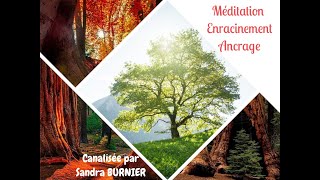 Méditation Canalisée par Sandra BURNIER  Ancrage Enracinement [upl. by Nairrot]