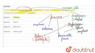 In the absence of enterokinase digestion of which component would of which component be affected [upl. by Aggappera]