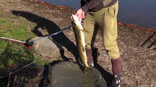 Peaceful Pike fishing on Grasmere Part2 [upl. by Hussey667]