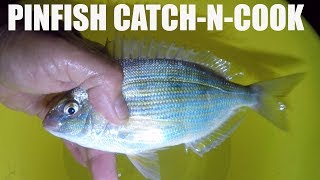 Can You Eat Pinfish Catch and Cook Pan Seared Fried and Baked [upl. by Naresh]