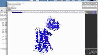 pymol 7 using the sequence display [upl. by Ahsitil]