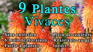 9 Plantes Vivaces Inédites SANS Entretien  de 6 mois de Floraison [upl. by Polinski346]