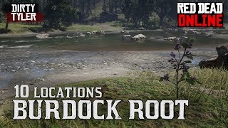 Burdock Root Locations Red Dead Online Burdock Root Location RDR2 [upl. by Nylatsyrk]