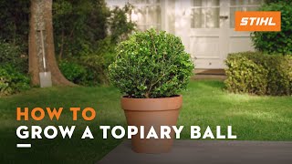 How to cut a topiary ball  STIHL Tutorial [upl. by Elleyoj257]