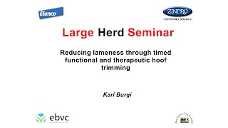 Reducing lameness through timed functional and therapeutic hoof trimming by Karl Burgi [upl. by Tomasine]