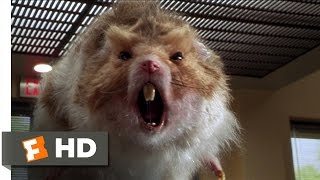 Nutty Professor 2 The Klumps 89 Movie CLIP  Giant Hamster Attack 2000 HD [upl. by Ronyam]