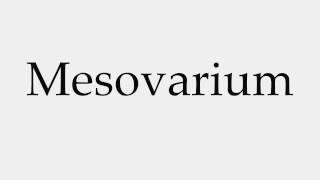 How to Pronounce Mesovarium [upl. by Halian]