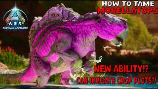 Ark Survival Ascended  How To Tame Morellatops  Scorched earth exclusive New ability [upl. by Ardis621]