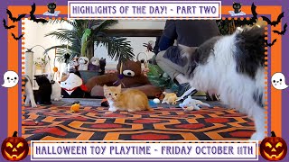 Highlights Of the Day  Part Two  Halloween Toy Playtime  Friday October 11th [upl. by Elane]