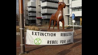 Extinction RebellionMiddenDrenthe 1ste Klimaatalarm actie [upl. by Drud296]